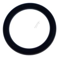 O-RING 48721300