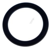 487213-00 O-RING 