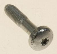 M5X30MM TORX  EINSTELLSCHRAUBE 2STK. 5X30 SELBSTSCHNEIDENT (ersetzt: #6976916 C00336599  SCHRAUBE TUER JUST.) 00169525