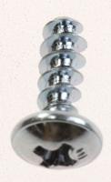 SCREW P C ZN RYSB 4X12 ROHS 35026325