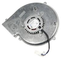 MOTOR 00145145