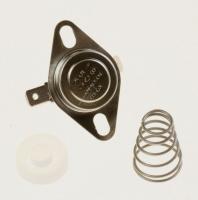 THERMOSTAT220V