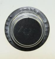 C00318592  THERMOSTAT 481221078011