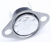 266834 Thermostat 