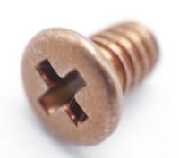 SCREW(M1.7) NEW TRU-STAR P2 266040101