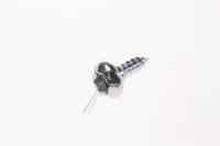 SCREW-SPECIAL PH TORX  M4 L10 PASS 6009001343