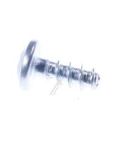 PT SCREW (3 5*13) 2704720100