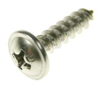 SELF WASHERED PT SCREW (4*16) 4242270200