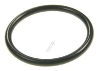 O-RING 750210224