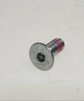 VIS POULIE M10X25 AF TSP (ersetzt: #8687986 SCHRAUBE  RIEMENSCHEIBE  TORX L=9 9MM D: 3 95 MM) 5191350270