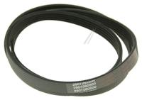 1171J5EL  ELASTIC POLY-V BELT ASSY 2466300203