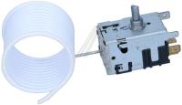 7038042 Thermostat 