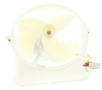 402993 FAN ASS 