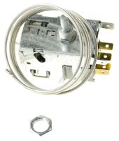 077B5243  THERMOSTAT AS6019940