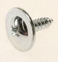 WIDE HEADED SCREW 1731640100