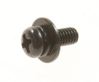 SCREW  +PSW M4X10 FX0001601