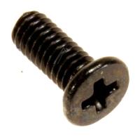 SCREW M2.5*6L (K)(4.6) B-ZN NY 13GMBKXD061Z1