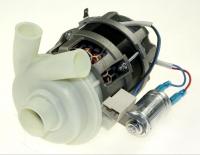 YXW50-2F  MOTOR PUMPE