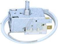 THERMOSTAT V420086