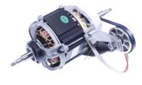 YXH-120-2-7L  MOTOR (ersetzt: #M548866 MOTOR) 11002012000924