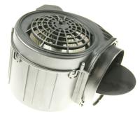 541572 Motor 