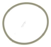 CP696801  PLASTIC JAR BLADE SEAL RING GR 300005994291