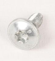10021440 SCHRAUBE 