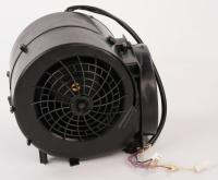 20005421 MOTOR 20005421
