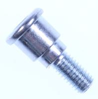 HINGE SCREW