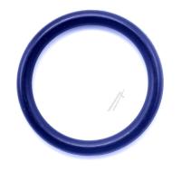 H11178388 DICHTRING 